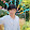Vùng Tây Bắc