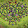Tree Gaming