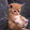 Gacha Minou