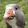 Galax P