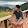 Ronnakrit Phananon