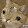 Doggo
