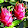 Mademoiselle Pitaya