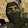 Grove Street Familes