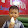 Hoàng Bách Chanel