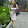 phung pham thi phi