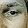 safini _project