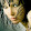 Dafne Granger