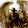 RAILON