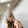 Zoe Gasson