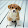 star pup