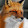 FoxHound
