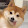 AllMightyDogo