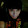 RayRaySoShy