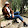 Damla oficall
