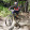 Enduro Spoleto bici