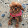 Jennie The Cavalier