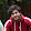 Talha Salarzay