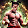 Satto