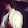 YASSINE OUAS