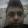يوميات واحد سماؤي