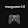 max gamer2.0