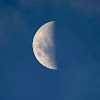 http://yt3.ggpht.com/-PIT8ilA3fkE/AAAAAAAAAAI/AAAAAAAAAAA/QuMvh452lnI/s100-c-k-no/photo.jpg