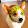 Its GarNOx