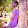 Shemar Brown