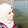 tima تيمة
