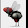 La mosca Assassina