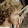 TABYOSH / Fabio Tabacchi