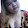 ยกยก กบบหบห