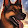 ツRex
