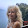 Graziana Bressan