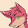 foxy kid