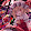 THE LOL BOSS 1337