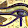 Horus