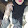 Asma gsm