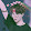 Min Yoonie