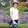 Thuong Doan
