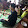 Giang Lan Giang Lan