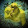 SpongeBob SquarePants