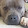 DogLoveTv