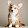 Vlog Pet corgi