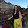MissNanie21