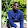 mungai andrew