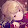 N i s a de Msp