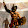 I Gladiatori