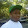 Jeremiah Ray